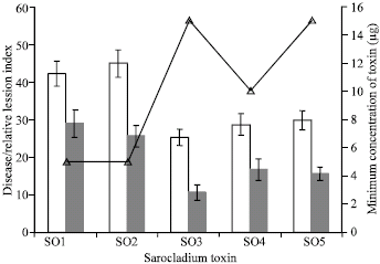 Image for - Variation in Toxin Production among Isolates of Sarocladium oryzae, the Rice Sheath Rot Pathogen