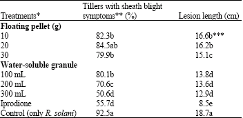 Image for - Efficacy of Novel Formulations of Bacillus megaterium in Suppressing Sheath Blight of Rice Caused by Rhizoctonia solani