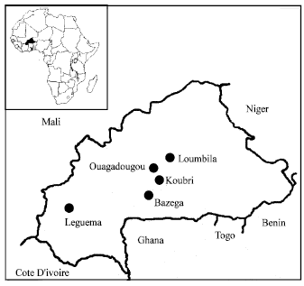 Image for - Characterization of Pepper yellow vein mali virus in Capsicum sp. in Burkina Faso