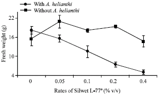 Image for - Effect of Surfactants on Bioherbicidal Activity of Alternaria helianthi on Multiple-Seeded Cocklebur