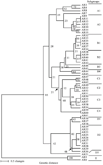 Image for - Molecular Diversity of Ascochyta rabiei Isolates from Chickpea in Alberta, Canada