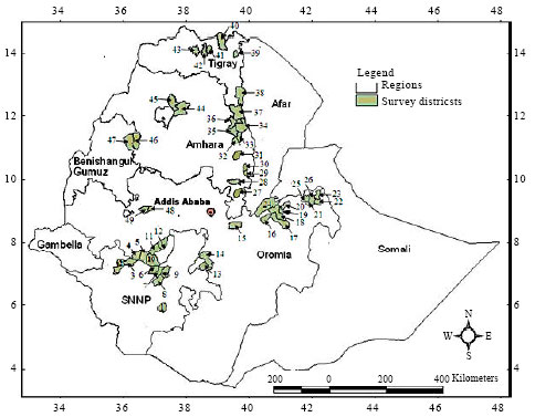 Image for - Incidence and Severity of Sorghum Anthracnose in Ethiopia