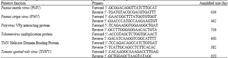 Image for - Analysis and RT-PCR Identification of Viral Sequences in Peanut (Arachis hypogaea L.) Expressed Sequence Tags from Different Peanut Tissues