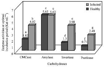 Image for - PR Enzyme Activities of Cercospora theae Causing Bird’s Eye Spot Disease in Tea Plants (Camellia sinensis (L.) O.kuntze)