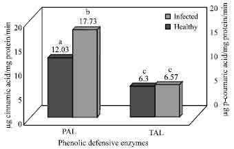 Image for - PR Enzyme Activities of Cercospora theae Causing Bird’s Eye Spot Disease in Tea Plants (Camellia sinensis (L.) O.kuntze)
