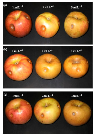 Image for - Application of Selected Plant Extracts to Inhibit Growth of Penicillium expansum on Apple Fruits