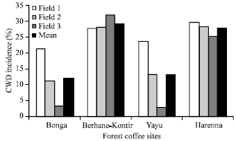 Image for - Coffee Wilt Disease (Gibberella xylarioides Heim and Saccas) in Forest Coffee Systems of Southwest and Southeast Ethiopia
