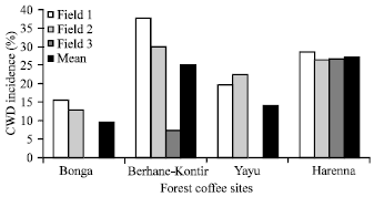 Image for - Coffee Wilt Disease (Gibberella xylarioides Heim and Saccas) in Forest Coffee Systems of Southwest and Southeast Ethiopia