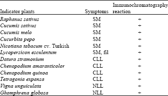 Image for - Characterization of an Isolate of Cucumber mosaic cucumovirus from Radish (Raphanus sativus) in Iraq
