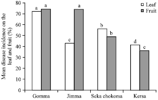 Image for - Distribution and Occurrence of Mango Anthracnose (Colletotrichum gloesporioides Penz and Sacc) in Humid Agro-ecology of Southwest Ethiopia