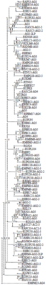 Image for - Sequence-Related Amplified Polymorphism-PCR Analysis for Genetic Diversity in Rhizoctonia solani Populations Infecting Pulse Crops in Different Agro-Ecological Regions of India