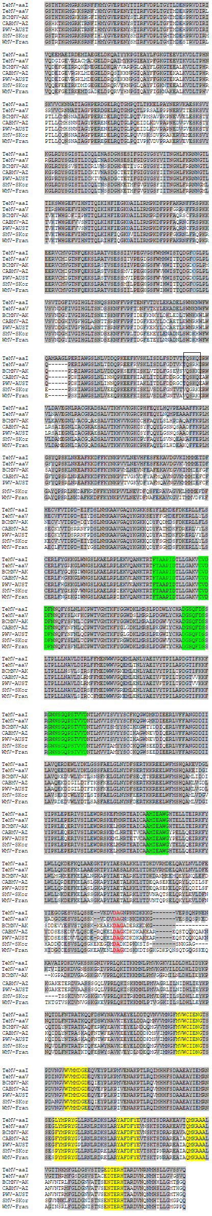 Image for - Molecular Cloning and Sequencing of Telosma Mosaic Virus(TeMV) Causing Mosaic Disease on Patchouli