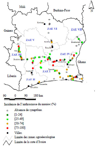 Image for - Distribution and Incidence of Cassava Anthracnose in Côte D’ivoire and Pathogenic Characteristics of Colletotrichum gloeosporioides Penz Manihotis Isolates