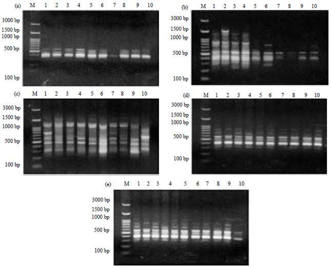 Image for - Evaluation of Resistance of Cotton Genotypes to Fusarium Wilt Disease by Using Inter Simple Sequence Repeats (ISSR) and Start Codon Targeted (SCoT) Molecular Techniques