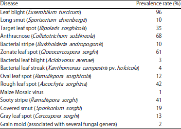 Image for - The Occurrence and Distribution of Sorghum Diseases in Major Production Regions of Senegal, West Africa