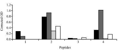 Image for - Use of Phage Displayed Peptides Libraries for Epitope Mapping of Bovine Viral Diarrhea Virus E2 Protein