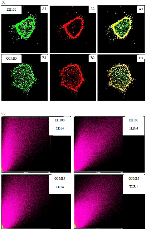 Image for - LPS Subtypes Activate Inflammatory Signaling Through CD-14 and TLR-4 in Human Monocytic Cells