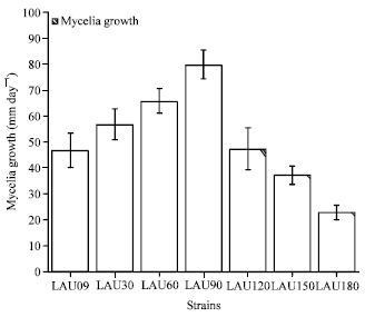 Image for - Improvement of Pleurotus pulmonarius Lau 09 Through Mutation for  Yield Performance