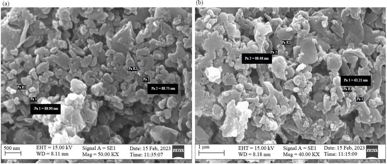Image for - Biosynthesis of Copper Oxide Nanoparticles Formation from Pongamia pinnata (L.) Pierre Leaf Metabolites and Their Antibacterial Activity