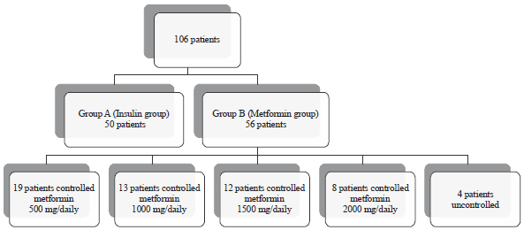 Image for - Metformin Versus Insulin in Treatment of Gestational Diabetes Mellitus: A Randomized Controlled Trial