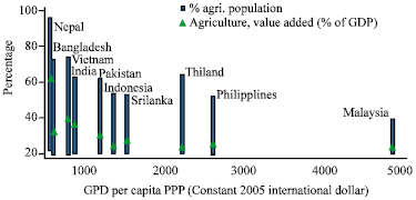 Image for - Sources of Agricultural Productivity Growth in South and Southeast Asia
