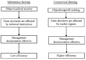 Image for - Comparing the Technical Efficiency of Rice Farms in Urban and Rural Areas: A Case Study from Nepal