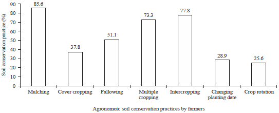 Image for - Willingness-to-Pay for Agronomic Soil Conservation Practices among Crop-based Farmers in Ekiti State, Nigeria