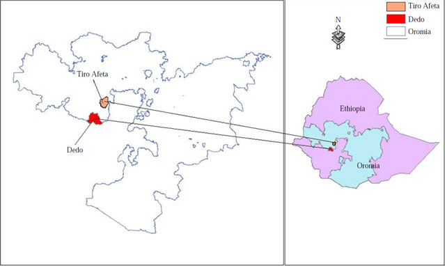 Image for - Estimation of Soil Loss Using Revised Universal Soil Loss Equation and Determinants of Soil Loss in Tiro Afeta and Dedo Districts of Jimma Zone, Oromiya National Regional State, Ethiopia