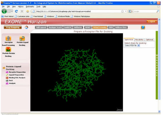 Image for - In silico Molecular Docking of Influenza Virus (PB2) Protein to Check the Drug Efficacy
