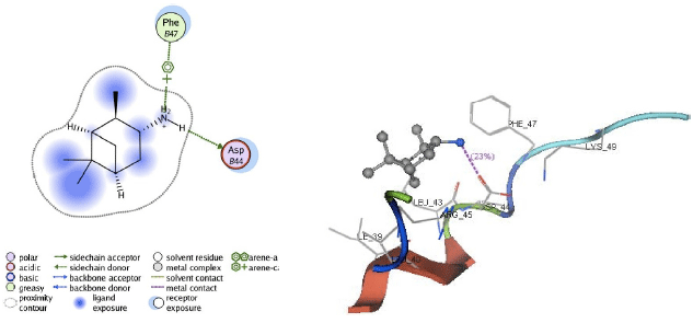 Image for - In silico Modification of (1R, 2R, 3R, 5S)-(-)- Isopinocampheylamine as Inhibitors of M2 Proton Channel in Influenza A Virus Subtype H1N1, using the Molecular Docking Approach