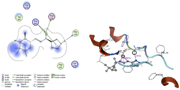 Image for - In silico Modification of (1R, 2R, 3R, 5S)-(-)- Isopinocampheylamine as Inhibitors of M2 Proton Channel in Influenza A Virus Subtype H1N1, using the Molecular Docking Approach