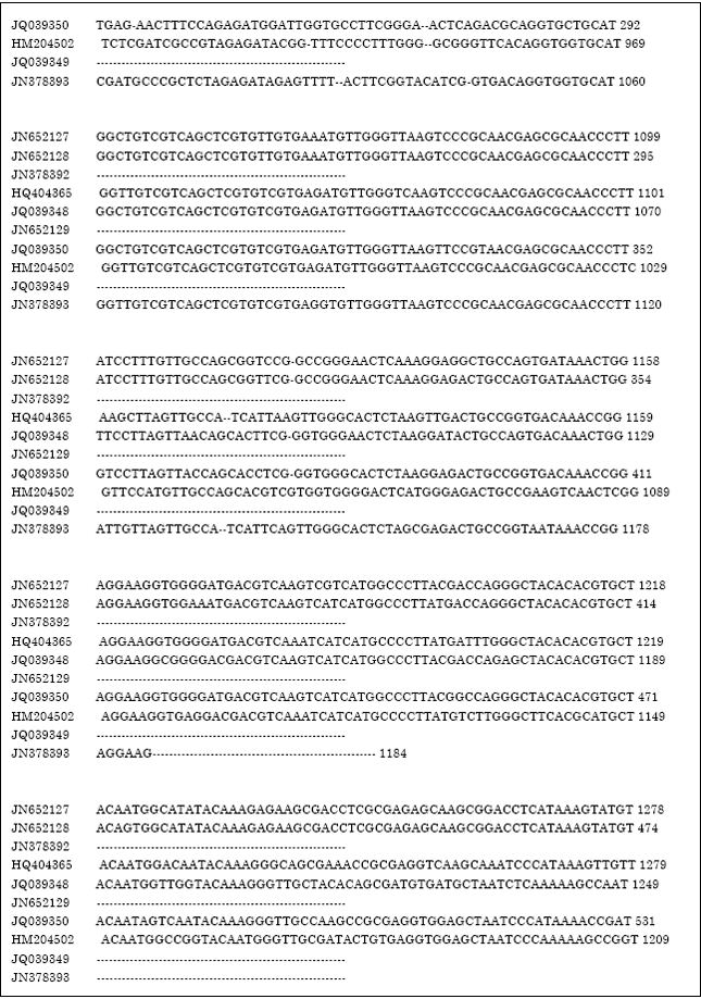 Image for - In silico Structural Analysis of 16S rDNA Sequences of Bacteria Isolated from Keratitis Patients