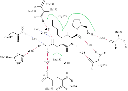 Image for - Study on the Antimalarial Activity of Actinonin Derivatives by Molecular Modeling