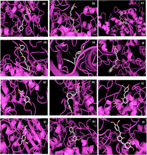 Image for - Breast Cancer Specific Histone Deacetylase Inhibitors and Lead Discovery using Molecular Docking and Descriptor Study