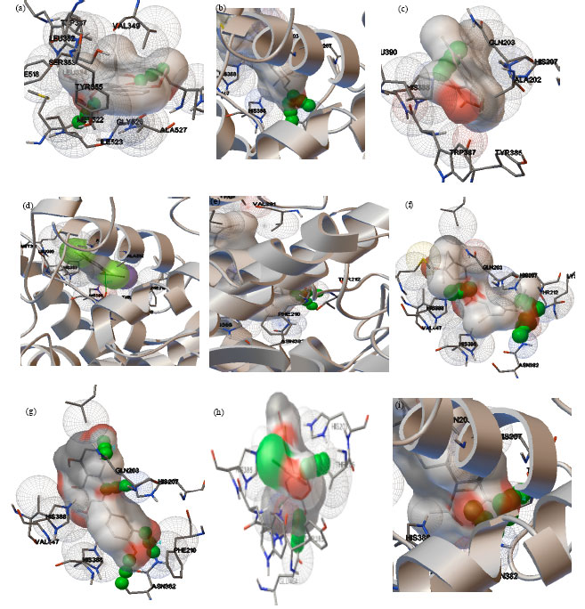 Image for - In silico Screening of Cyclooxygenase Inhibitory Molecules from Margroves