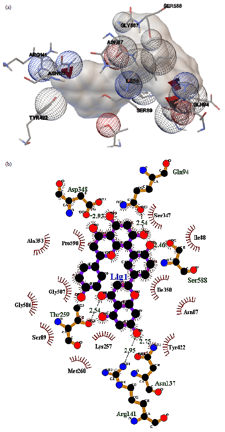 Image for - In silico Studies for Potential Natural Inhibitors for Isocitrate Dehydrogenase Type II of Mycobacterium tuberculosis (H37Rv)