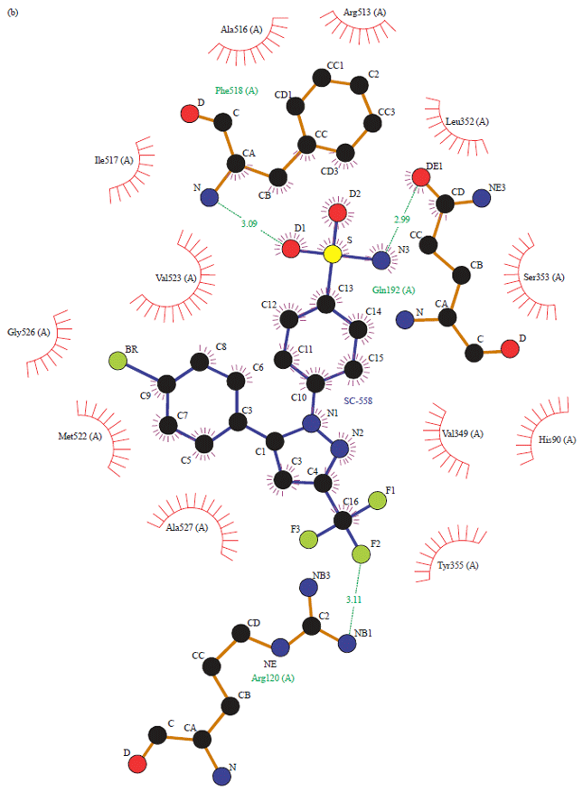 Image for - Molecular Docking Study of 2, 3-Dimethylmaleic Anhydride (3, 4-Dimethyl-2, 5-Furandione) as Anti-inflammatory Agent