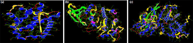 Image for - In silico Modelling and Molecular Docking Insight of Bacterial Peptide for Anti-tubercular and Anticancer Drug Designing