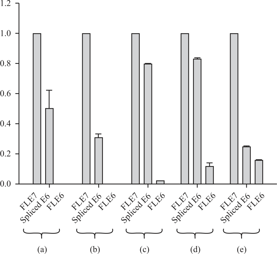 Image for - Transcriptional Patterns of High-Risk Human Papillomavirus Types 16, 18, 45, 68b Genes