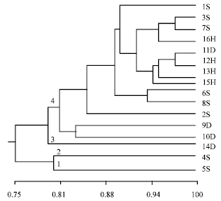 Image for - DNA Molecular Analysis between Lethal Yellowing Disease and Non-lethal Yellowing Disease of Coconut Palms (Cocos nucifera L.) in Nigeria