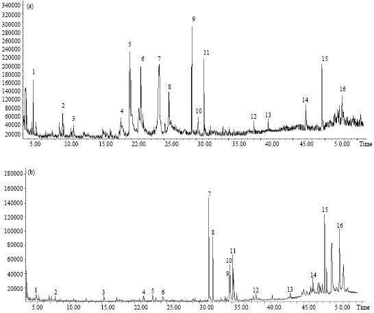 GC-MS Analysis of Dichloromethane Fractions of Scutia buxifolia Reissek ...