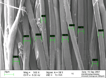 Image for - Interlaminar Fracture Properties of Multi-Layer Woven Silk Fibre/Polyester Composites