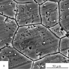 Image for - Electroless Ni-P Deposition on WE43 Magnesium Alloy Substrate
