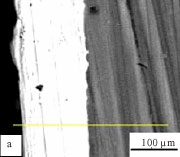 Image for - Electroless Ni-P Deposition on WE43 Magnesium Alloy Substrate
