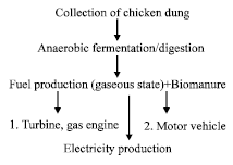 Image for - Sustainable Energy Resources from Chicken