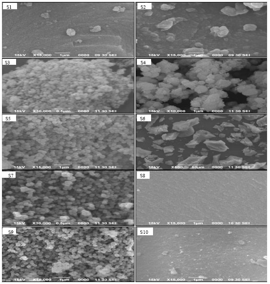 Image for - Effects of Synthesis Parameters Towards Morphological Properties of Silica Xerogels