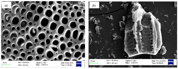 Image for - Prediction of Adsorption Capacity of Microwave Assisted Activated Carbon for the Decolorization of Direct Blue 86 by using Artificial Neural Network