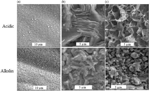 Image for - Electrodeposition of Zinc from Acid Based Solutions: A Review and Experimental Study