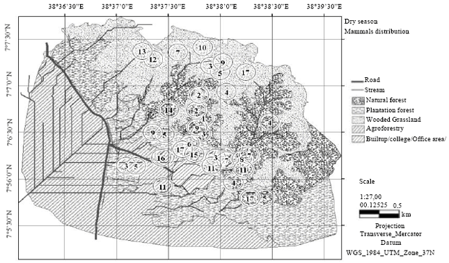 Image for - Species Composition, Distribution and Relative Abundance of Large Mammals in and around Wondo Genet Forest Patch, Southern Ethiopia