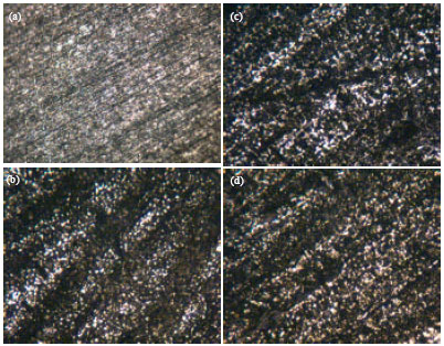 Image for - Evaluating the Deterioration Behaviour of Mild Steel in 2 M Sulphuric Acid in the Presence of Butyrospermum parkii